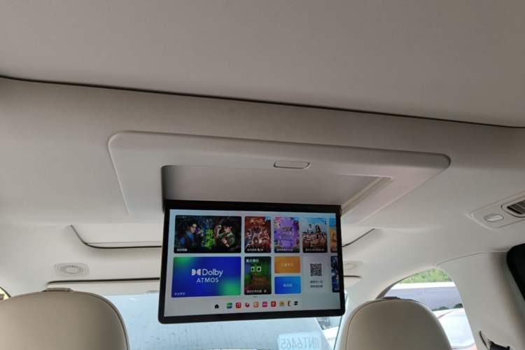 Used Leapmotor C16 2024 Range-Extended 200 Luxury Edition Headliner