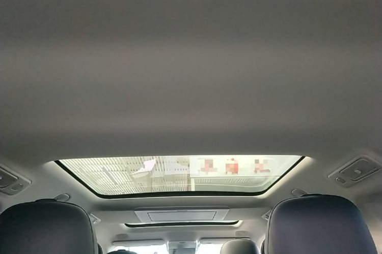 Used Leapmotor C16 2024 Pure Electric 520 Deluxe Edition Headliner