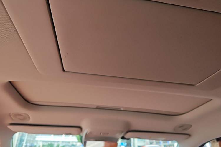 Used Leapmotor C16 2024 Pure Electric 520 Deluxe Edition Headliner