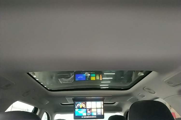 Used Leapmotor C16 2024 Pure Electric 520 Smart Edition Headliner