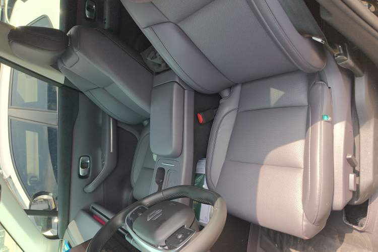 Used Leapmotor C16 2024 All-Electric 580 Luxury Edition Left Front Seat