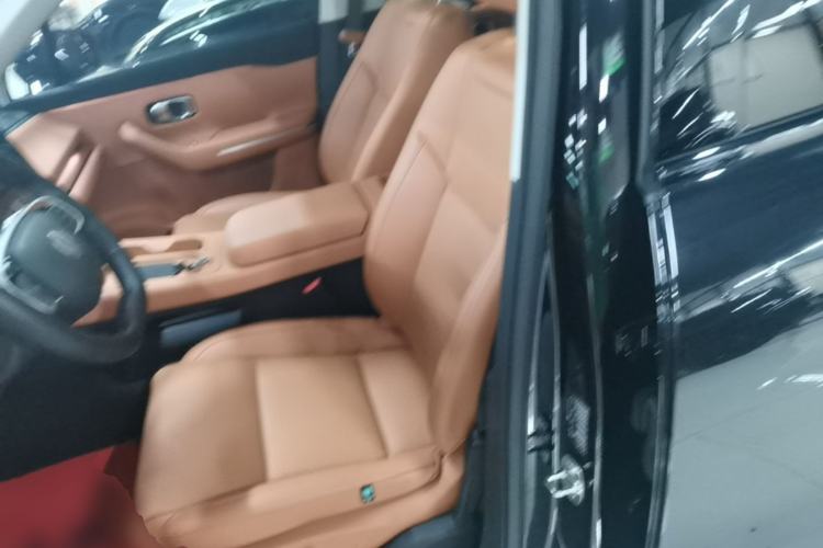 Used Leapmotor C16 2024 Pure Electric 520 Deluxe Edition Left Front Seat
