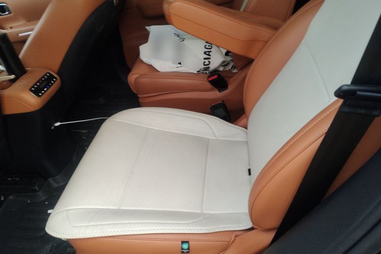 Used Leapmotor C16 2024 Range-Extended 200 Luxury Edition Left Rear Seat