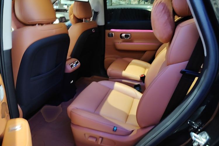 Used Leapmotor C16 2024 Range-Extended 200 Luxury Edition Left Rear Seat