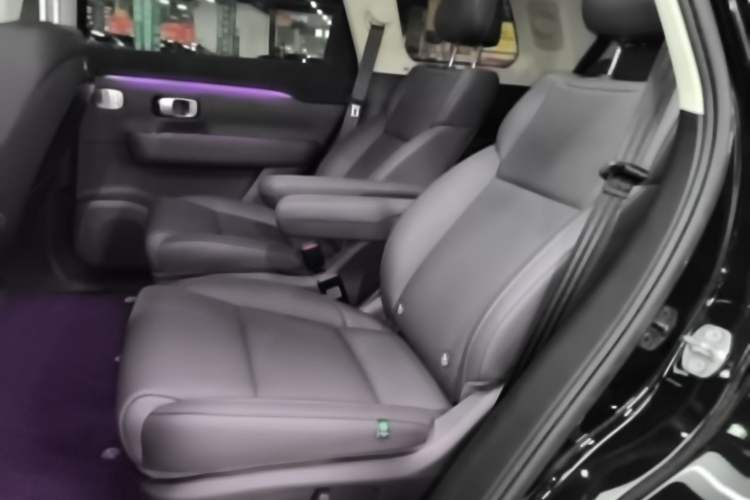 Used Leapmotor C16 2024 All-Electric 580 Luxury Edition Left Rear Seat