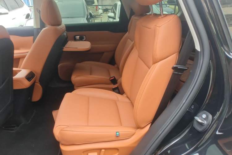 Used Leapmotor C16 2024 All-Electric 580 Luxury Edition Left Rear Seat