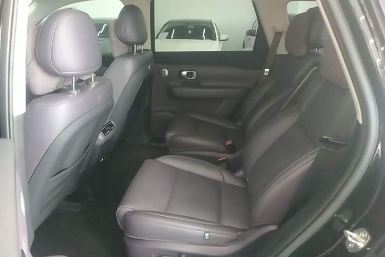 Used Leapmotor C16 2024 Range-Extended 200 Luxury Edition Left Rear Seat