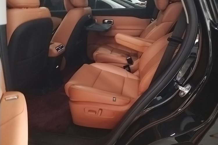 Used Leapmotor C16 2024 Range-Extended 200 Luxury Edition Left Rear Seat