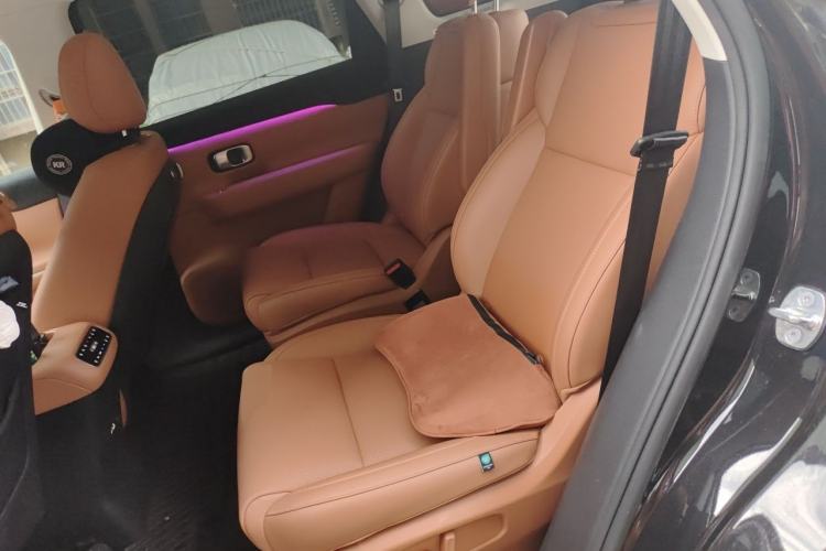 Used Leapmotor C16 2024 All-Electric 580 Luxury Edition Left Rear Seat