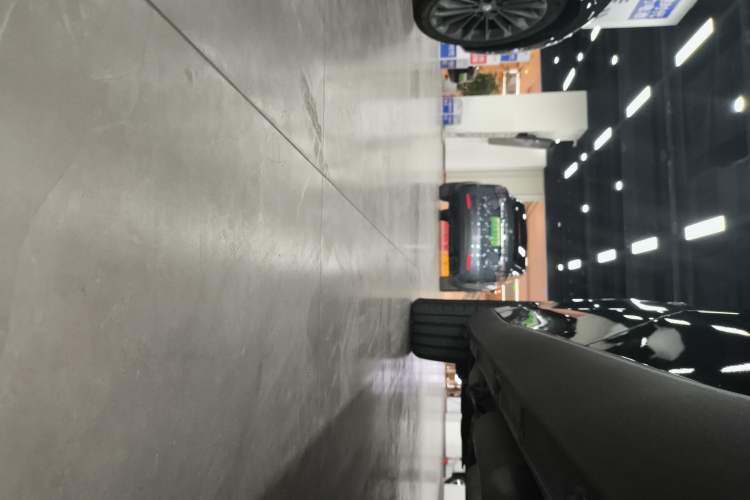 Used Leapmotor C16 2024 Range-Extended 200 Luxury Edition Left Side Sill