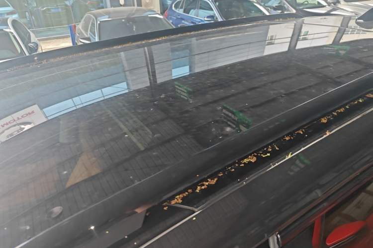 Used Leapmotor C16 2024 Range-Extended 200 Luxury Edition Roof