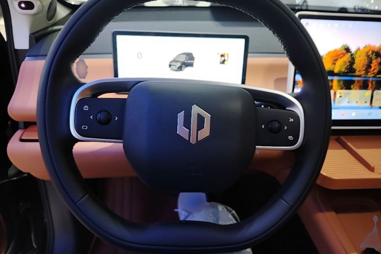 Used Leapmotor C16 2024 Range-Extended 200 Luxury Edition Steering Wheel