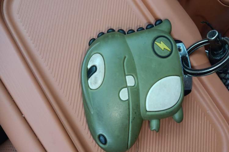 Used Leapmotor C16 2024 Pure Electric 520 Deluxe Edition Vehicle Key