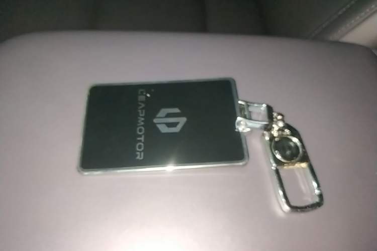 Used Leapmotor C16 2024 Range-Extended 200 Luxury Edition Vehicle Key