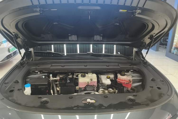 Used Leapmotor C16 2024 Pure Electric 520 Deluxe Edition Engine Bay