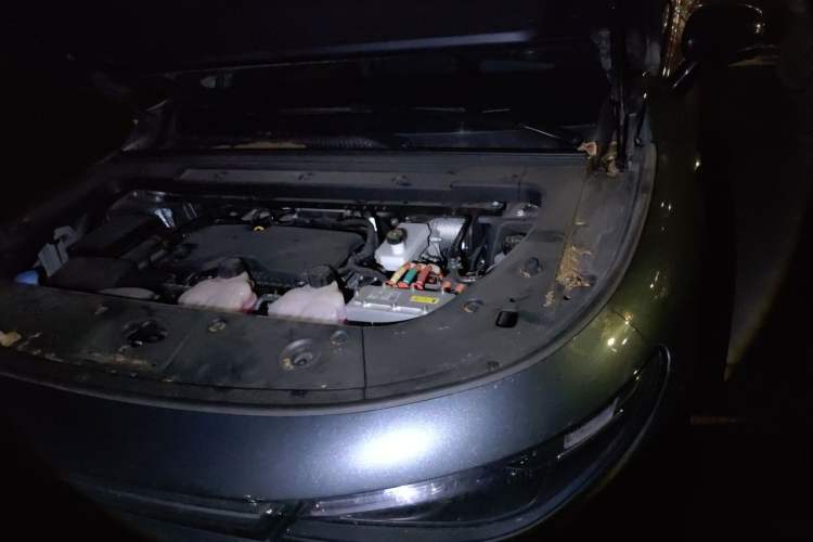 Used Leapmotor C16 2024 Range-Extended 200 Luxury Edition Engine Bay Left
