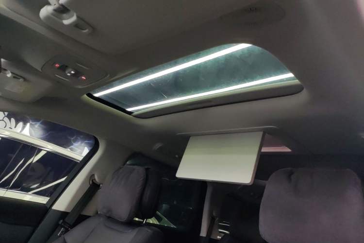 Used Leapmotor C16 2024 Pure Electric 520 Deluxe Edition Headliner