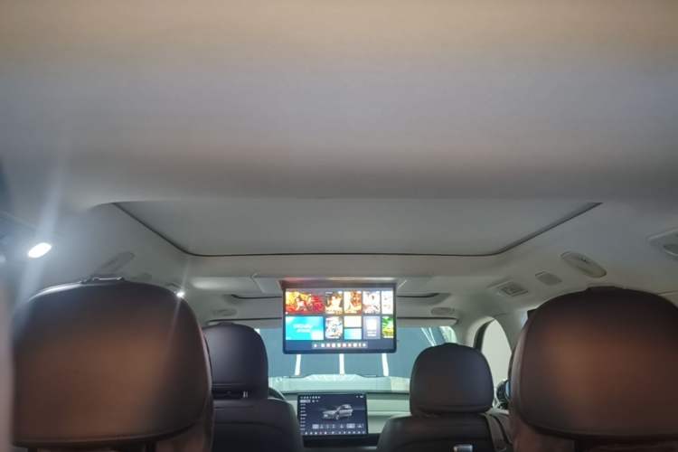 Used Leapmotor C16 2024 Pure Electric 520 Deluxe Edition Headliner
