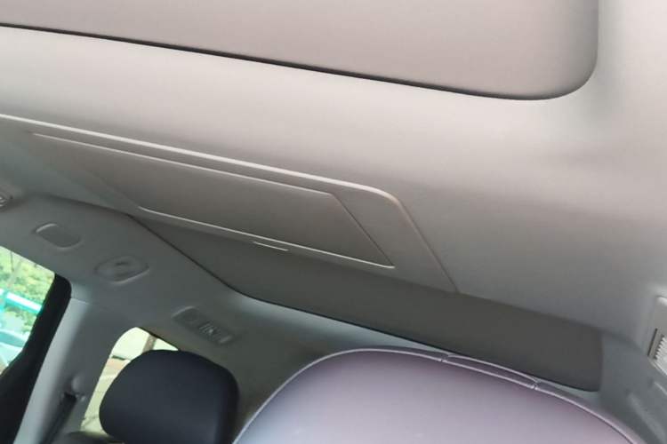 Used Leapmotor C16 2024 Range-Extended 200 Luxury Edition Headliner