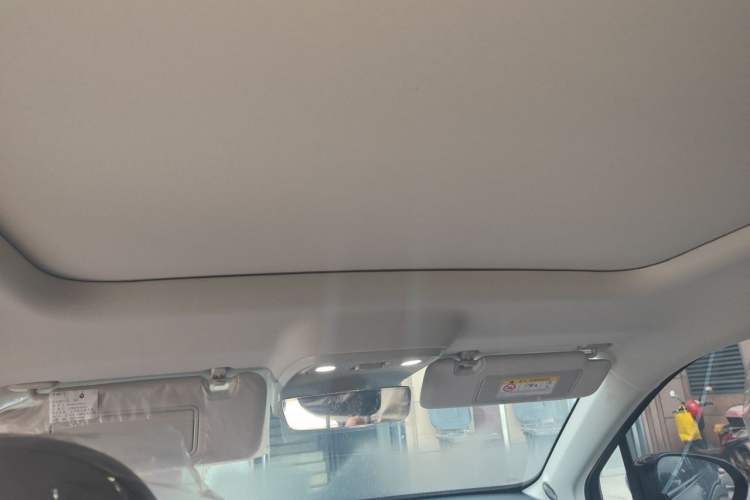 Used Leapmotor C16 2024 Pure Electric 520 Deluxe Edition Headliner