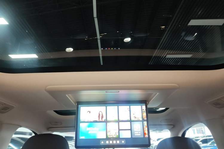 Used Leapmotor C16 2024 Range-Extended 200 Luxury Edition Headliner