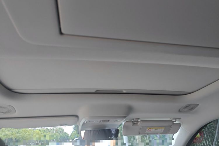 Used Leapmotor C16 2024 Pure Electric 520 Deluxe Edition Headliner