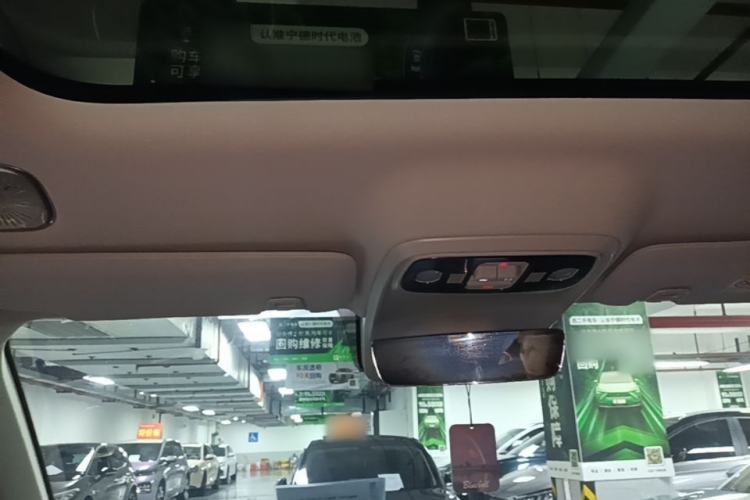 Used Leapmotor C16 2024 Pure Electric 520 Deluxe Edition Headliner