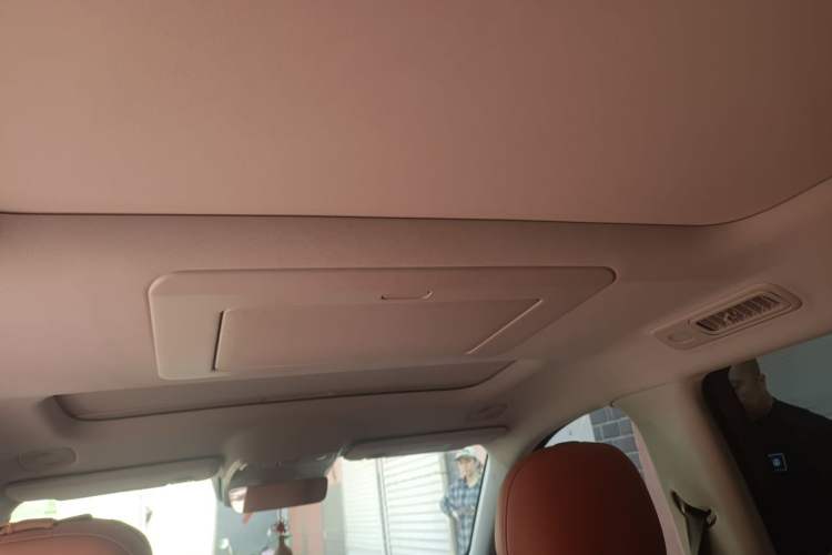 Used Leapmotor C16 2024 Pure Electric 520 Deluxe Edition Headliner