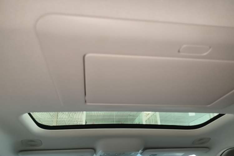 Used Leapmotor C16 2024 Pure Electric 520 Deluxe Edition Headliner