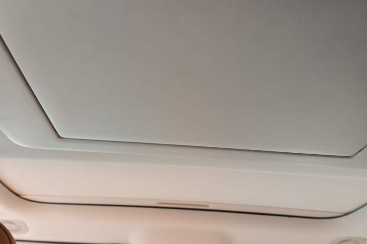 Used Leapmotor C16 2024 Pure Electric 520 Deluxe Edition Headliner