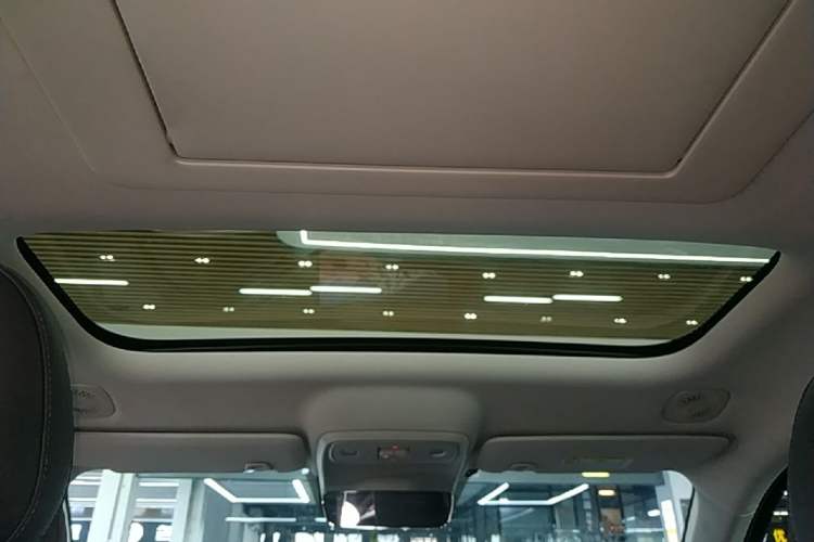 Used Leapmotor C16 2024 Pure Electric 520 Deluxe Edition Headliner
