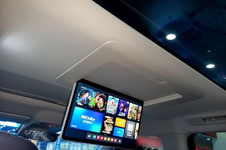 Used Leapmotor C16 2024 Pure Electric 520 Deluxe Edition Headliner