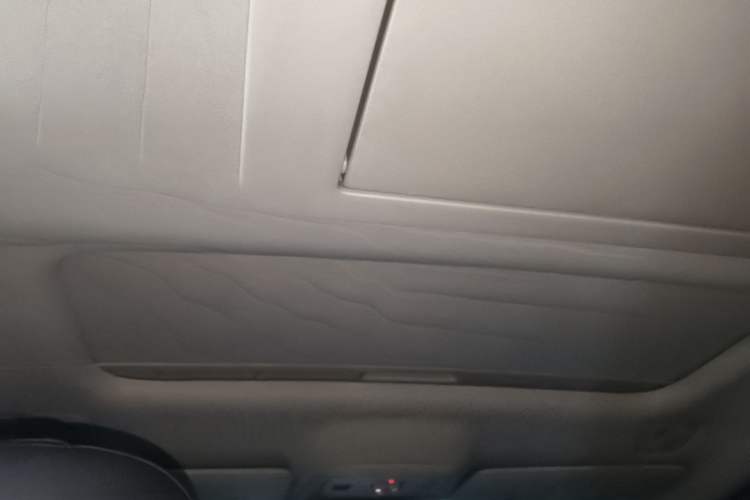 Used Leapmotor C16 2024 Pure Electric 520 Deluxe Edition Headliner