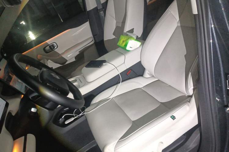 Used Leapmotor C16 2024 Range-Extended 200 Luxury Edition Left Front Seat