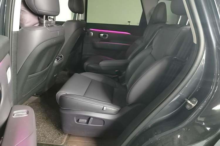 Used Leapmotor C16 2024 Range-Extended 200 Luxury Edition Left Rear Seat
