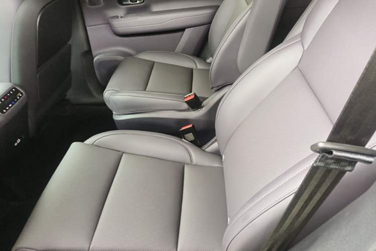 Used Leapmotor C16 2024 Range-Extended 200 Luxury Edition Left Rear Seat