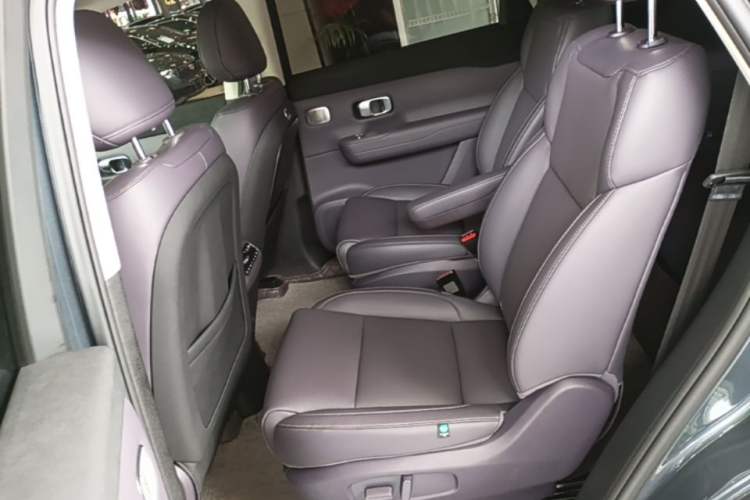 Used Leapmotor C16 2024 Range-Extended 200 Luxury Edition Left Rear Seat