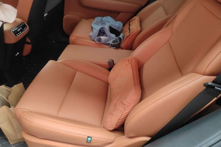 Used Leapmotor C16 2024 Range-Extended 200 Luxury Edition Left Rear Seat
