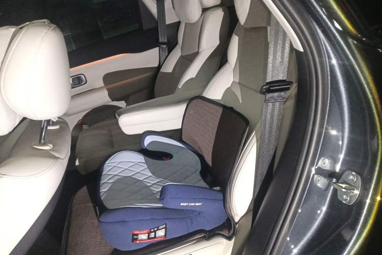 Used Leapmotor C16 2024 Range-Extended 200 Luxury Edition Left Rear Seat