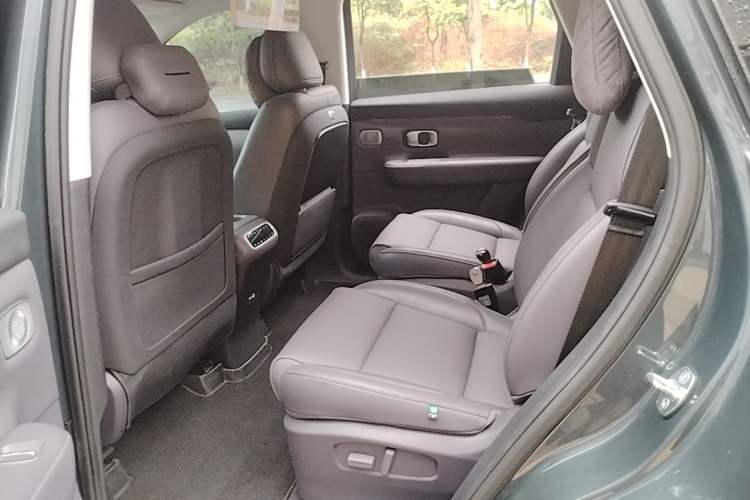 Used Leapmotor C16 2024 Range-Extended 200 Luxury Edition Left Rear Seat