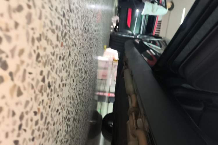 Used Leapmotor C16 2024 Range-Extended 200 Luxury Edition Left Side Sill