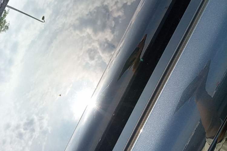 Used Leapmotor C16 2024 Range-Extended 200 Luxury Edition Roof