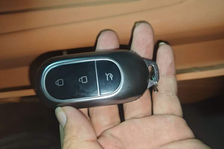Used Leapmotor C16 2024 Pure Electric 520 Deluxe Edition Vehicle Key