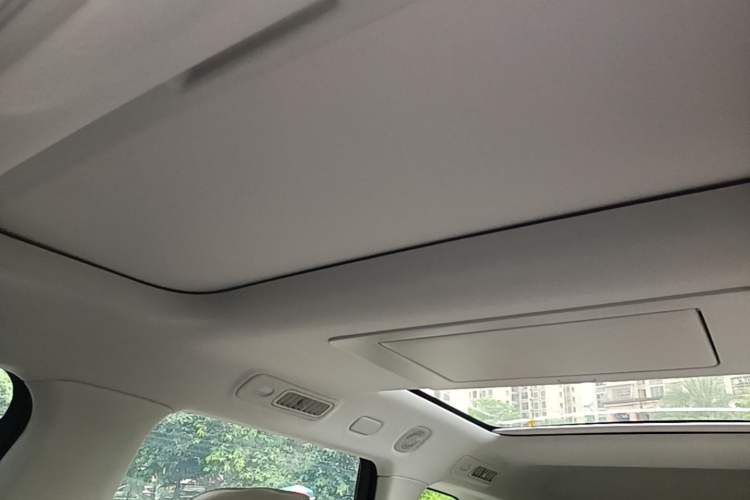 Used Leapmotor C16 2024 Pure Electric 520 Deluxe Edition Headliner