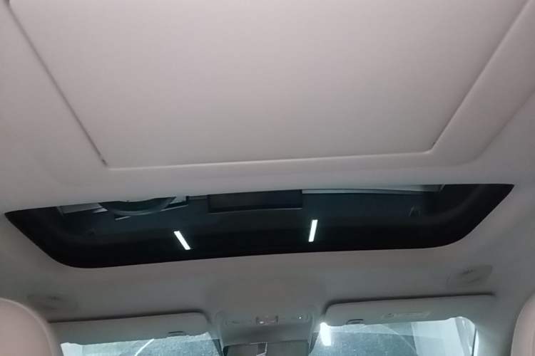Used Leapmotor C16 2024 Pure Electric 520 Deluxe Edition Headliner