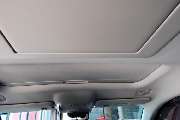 Used Leapmotor C16 2024 Range-Extended 200 Luxury Edition Headliner