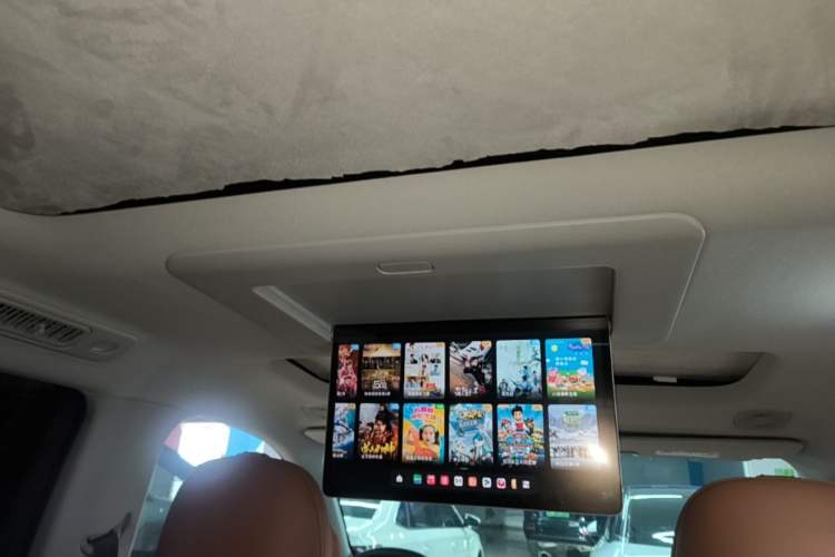 Used Leapmotor C16 2024 All-Electric 520 LiDAR Edition Headliner