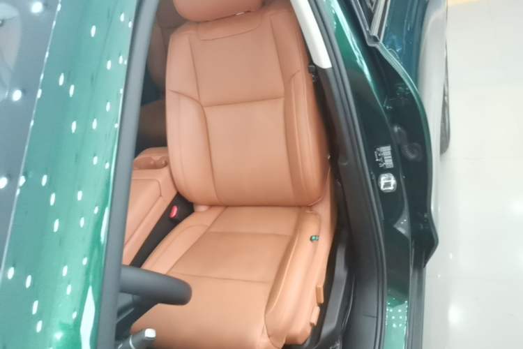 Used Leapmotor C16 2024 Range-Extended 200 Luxury Edition Left Front Seat
