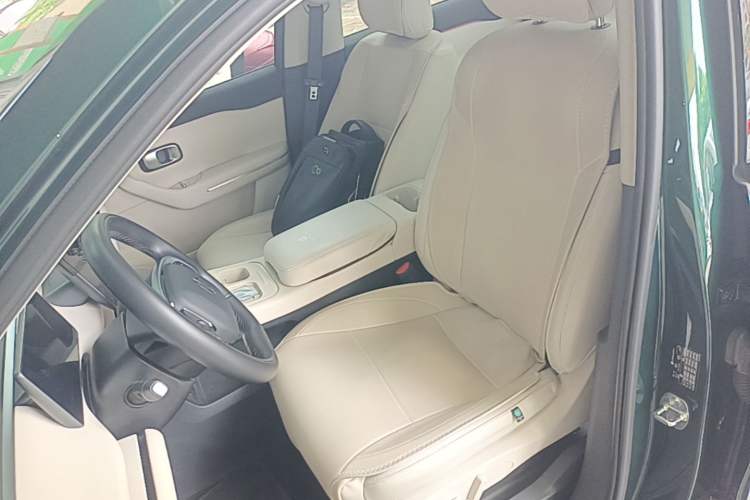 Used Leapmotor C16 2024 Pure Electric 520 Deluxe Edition Left Front Seat