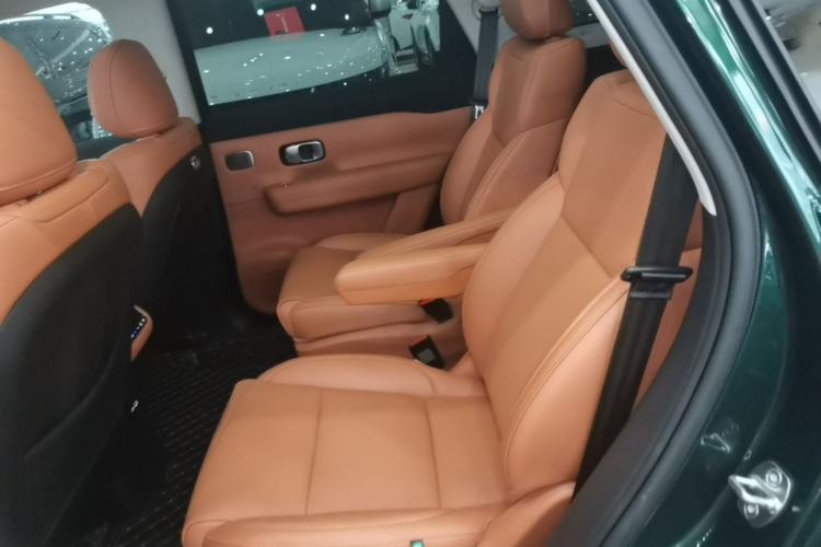 Used Leapmotor C16 2024 Range-Extended 200 Luxury Edition Left Rear Seat